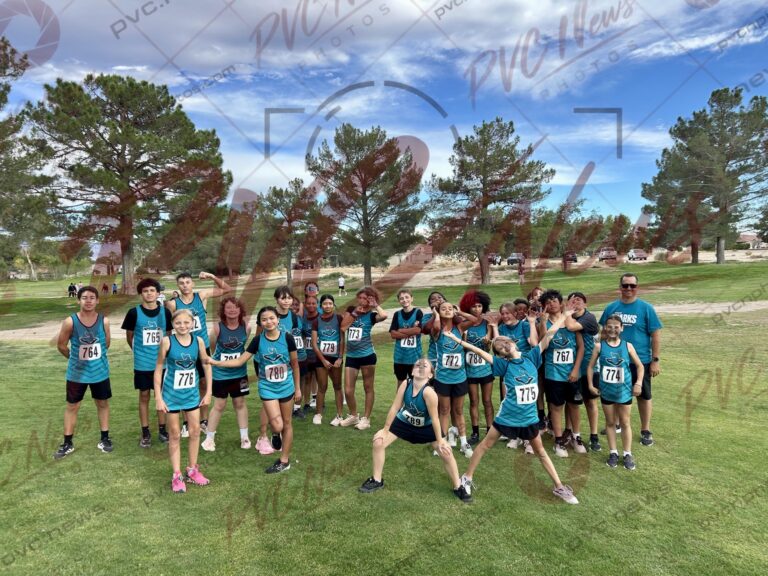 Sharks Earn Three Medals in Henderson and Top Finishes at Home